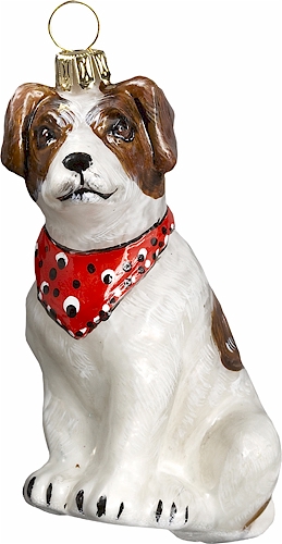 Jack Russell Terrier <br>with Bandana
