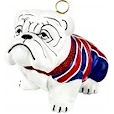 Union Jack flag bulldog.