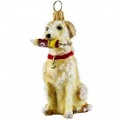 Snowy Yellow Labrador Retriever with Bouy 