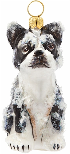 Boston Terrier- Snowy Version