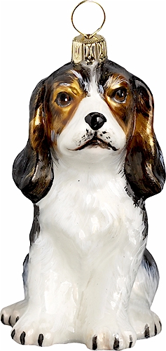 King Charles Puppy <br>Tri Color