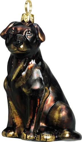 Lab Chocolate