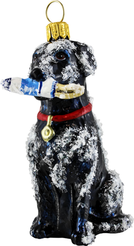 Labrador Retriever- Black <br>with Buoy Snowy Version