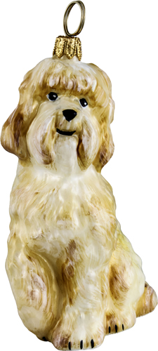 Labradoodle- Yellow