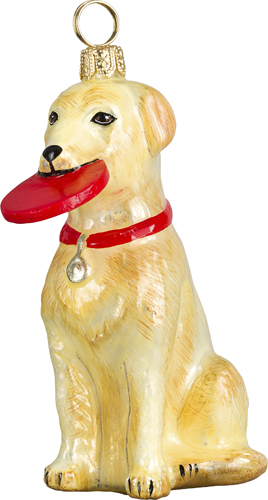 Yellow Labrador Retriever