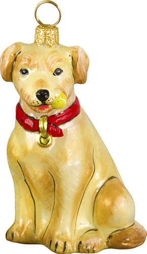 Yellow Labrador Retriever 