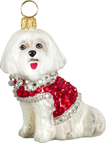 Maltese with Crystal Encrusted Coat