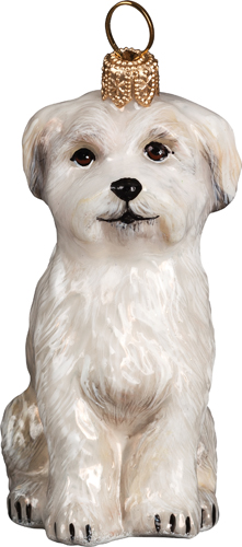 Maltese Sitting <br>with Puppy Cut
