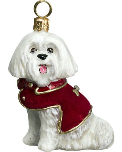 Maltese in Red Flocked Coat