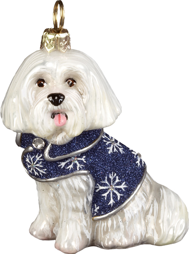 Maltese in Snowflake Coat