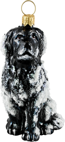 Newfoundland <br> Snowy Version