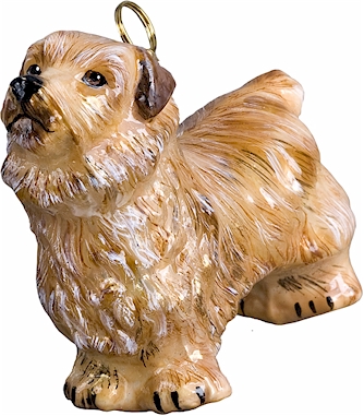 Norfolk Terrier