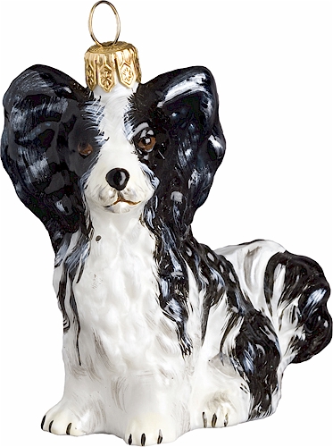 Papillion Black and White