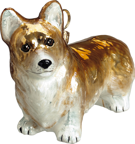 Pembroke Welsh Corgi