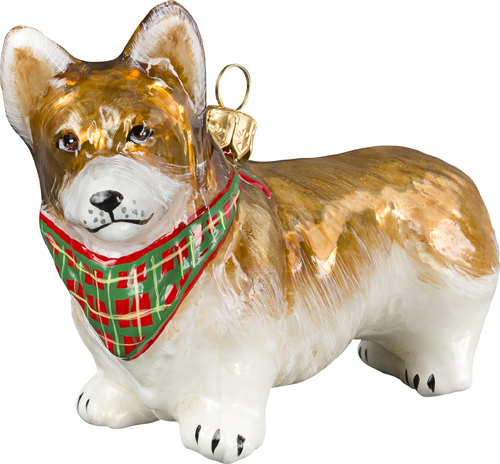 Pembroke Welsh Corgi