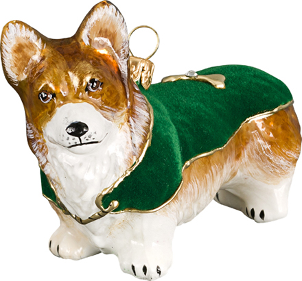 Pembroke Welsh Corgi with Green Velvet Coat