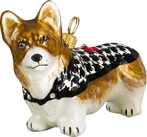 Pembroke Welsh Corgi with Hounds Tooth Sweater