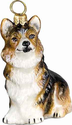 Pembroke Welsh Corgi Sitting- Tri-Color