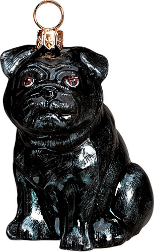 Pug Black