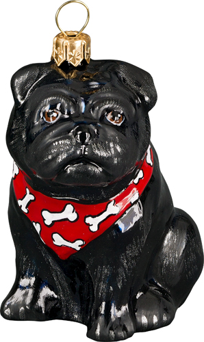 Pug Black with Bandana