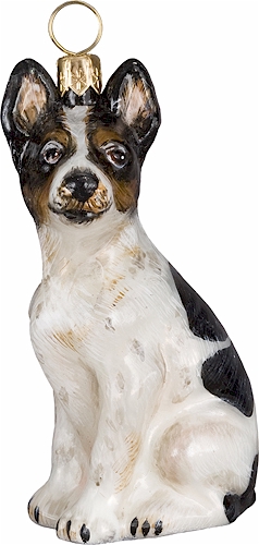 Rat Terrier