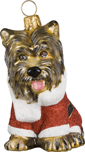 Santa Paws- Yorkie