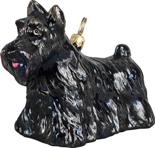 Scottish Terrier- Black