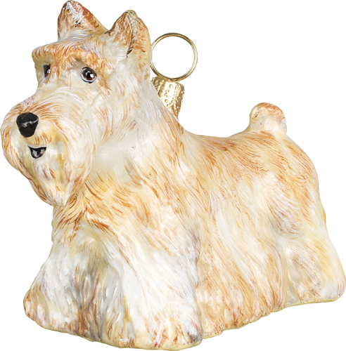 Scottish Terrier Wheaten