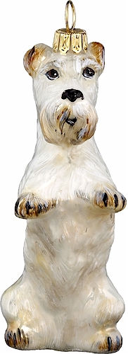 Sealyham Terrier