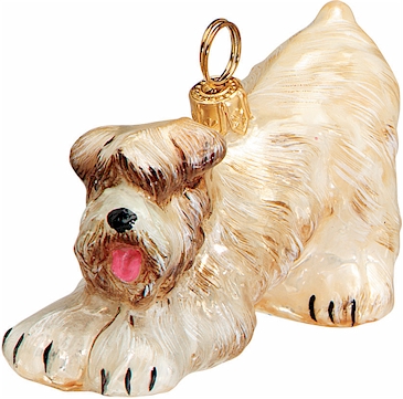 Soft Coated Wheaten Terrier 2