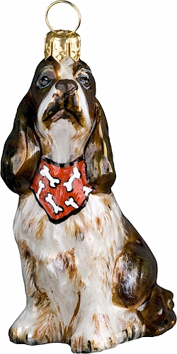 Springer Spaniel with Bandana