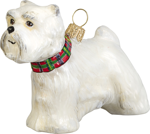 West Highland Terrier