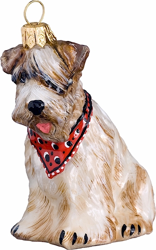 Wheaten Terrier with Bandana